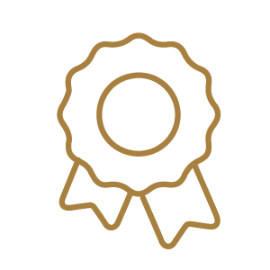 Excellence icon