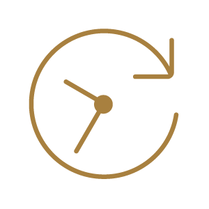 Fast turnaround icon